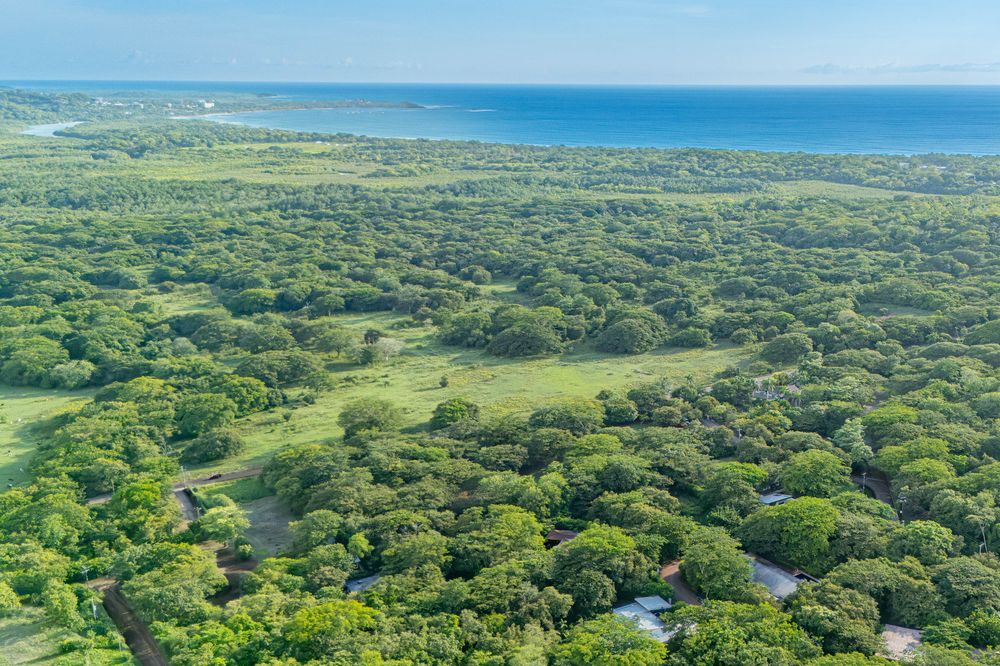 Drone view over the forest to the Pacific at Playa Grande